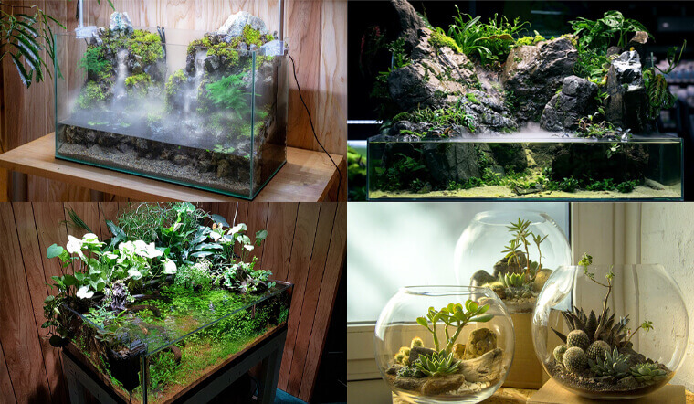 Các loại Terrarium được bán phổ biến hiện nay