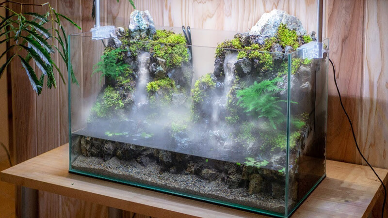 Cách làm Terrarium đơn giản hiện nay